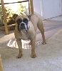 Another pic of Daisy Mae