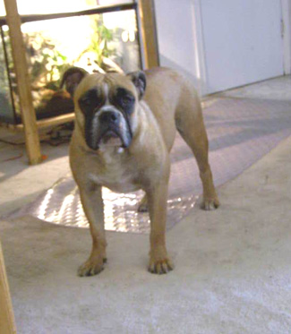 Another pic of Daisy Mae