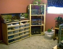 my leo room