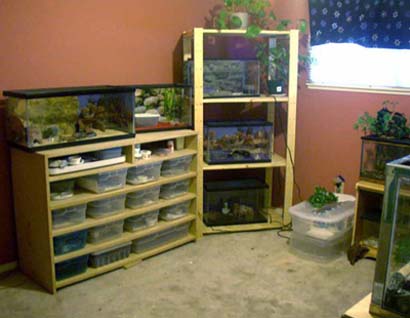 my leo room