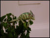 'nother photo in the shower