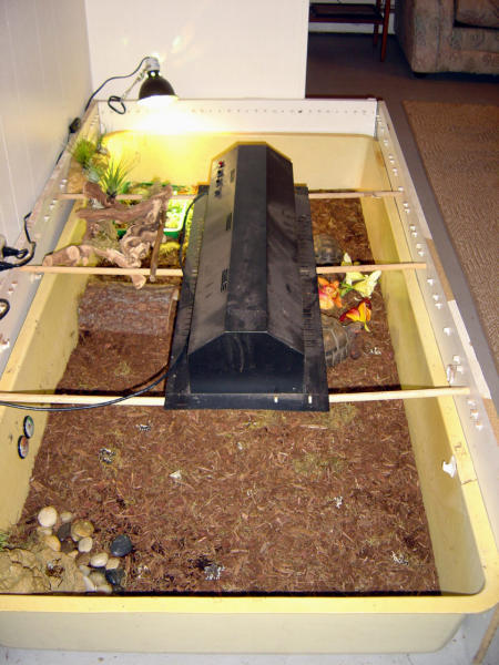 Redfoot Setup