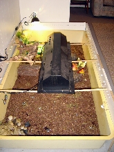 Redfoot Setup