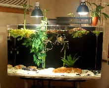 50 Gallon Show Tank