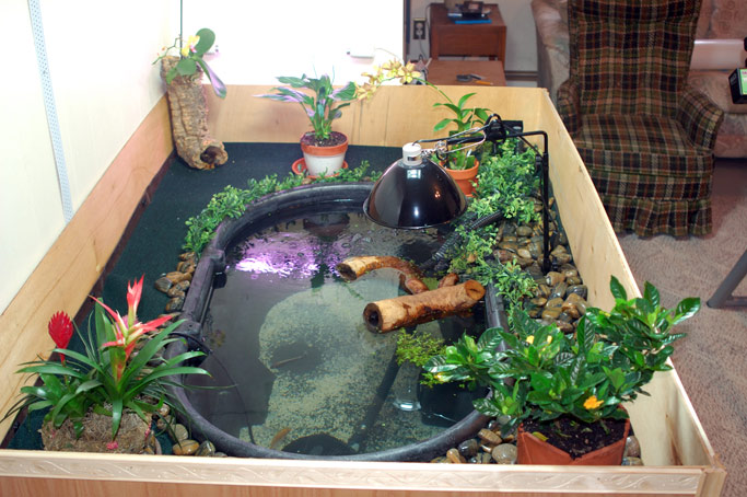 Indoor Pond