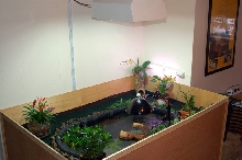 Indoor Pond