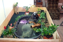 100 Gallon Indoor Pond