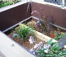 Baby box turtle enclosure