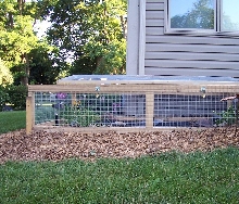 New Pond