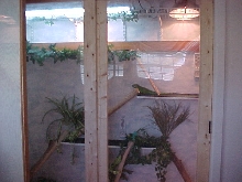 Digits new habitat
