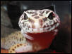 Smile!