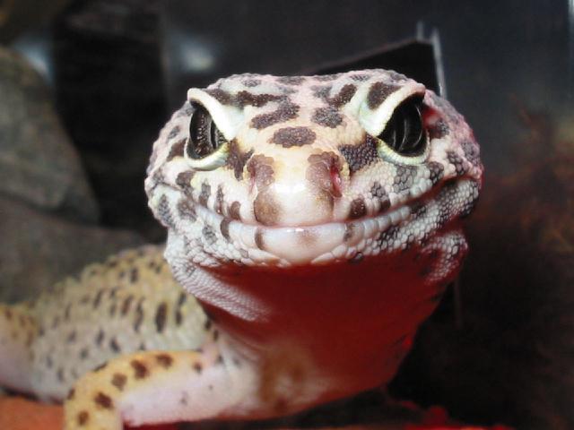 Smile!
