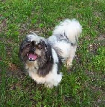 Such a happy boy!
