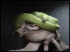 GTP