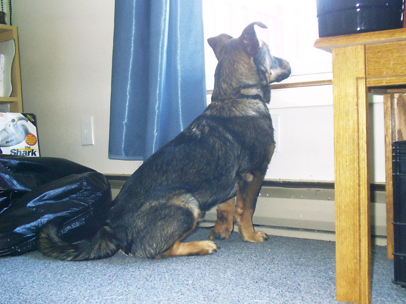 Kaiser4