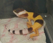 baby 1/30/05