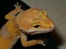 close up of new baby