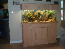 My display tank