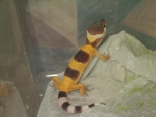 baby1/31/05