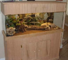 Display Tank for my Leopard Geckos