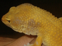 side