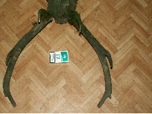 poroze2
