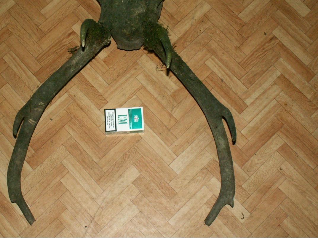poroze2