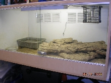 NEW WATER MONITOR SETUP