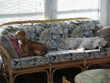 Adonis & Maggie