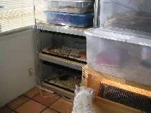 Herp Room - Left Side