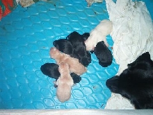 8 hours old!