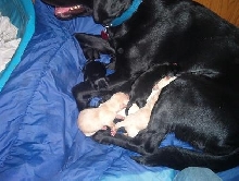 8 hours old2!