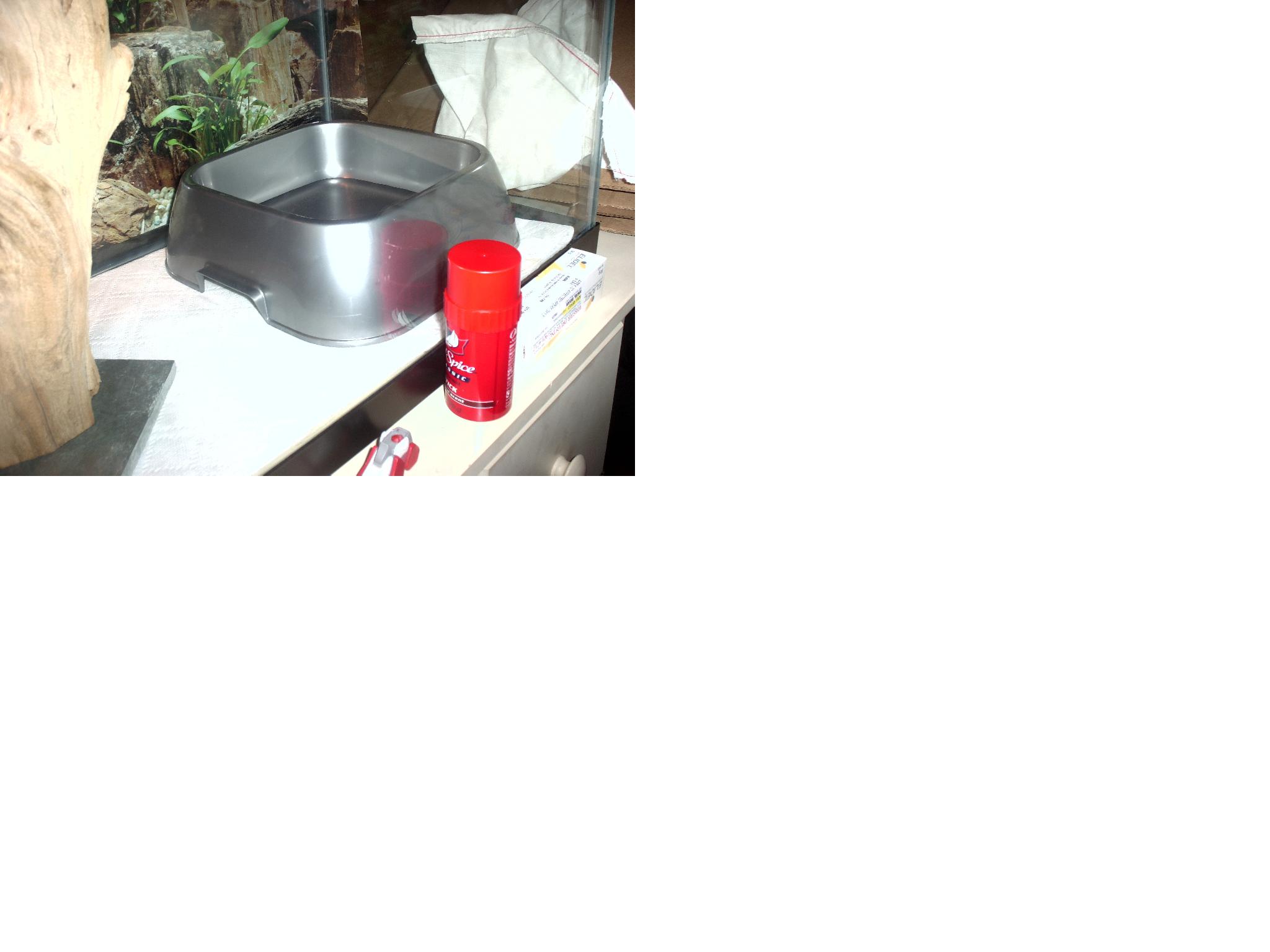 this is the hide bowl