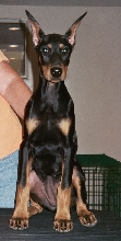Razzle as a tiny girl