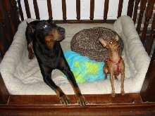 Kane & Baby