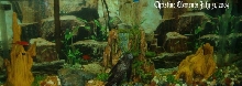 My old fish tank.