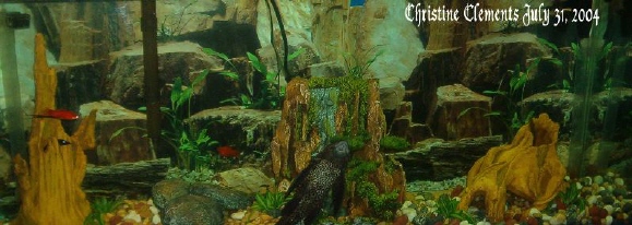 My old fish tank.