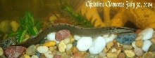 Eel was just a baby.
