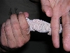 gecko's belly