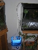 humidifier