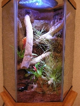 18 gal hex custom background
