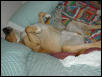 Fatboy sleeping