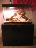tank stand and top1