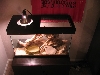 tank stand and lid2