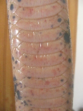 Belly rot better