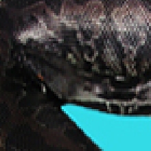 Black blood Avatar, of Tank
