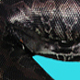 Black blood Avatar, of Tank