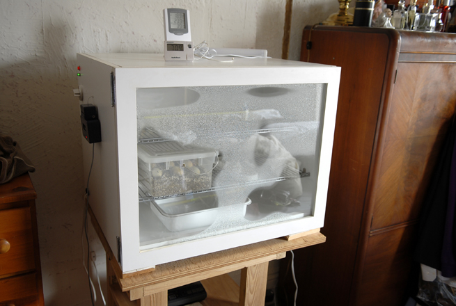 Incubator fired up 2