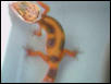 What is this?