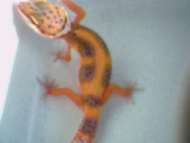 What is this?